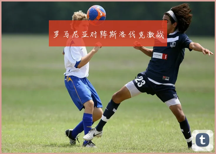 罗马尼亚对阵斯洛伐克激战