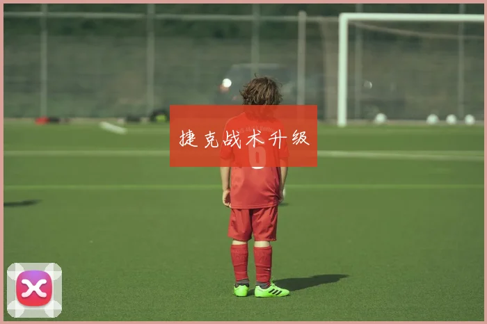 捷克战术升级
