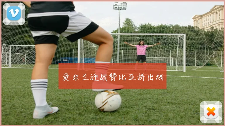 爱尔兰迎战赞比亚拼出线