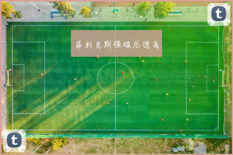菲利克斯强碰厄德高