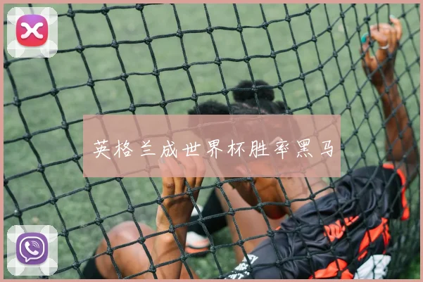 英格兰成世界杯胜率黑马