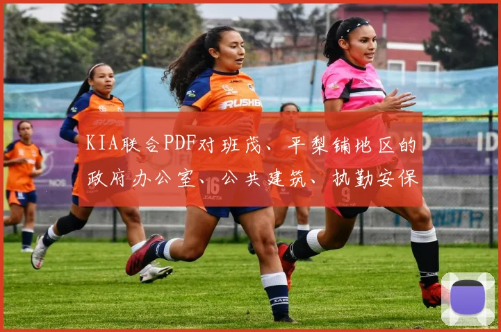 KIA联合PDF对班茂、平梨铺地区的政府办公室、公共建筑、执勤安保部队发动了78次袭击行动