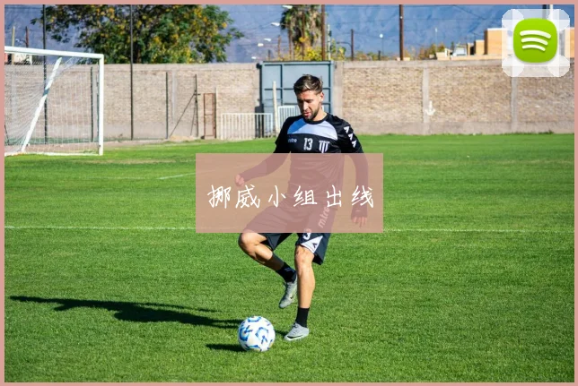 挪威小组出线