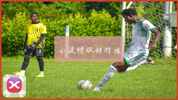 小波特双核对话