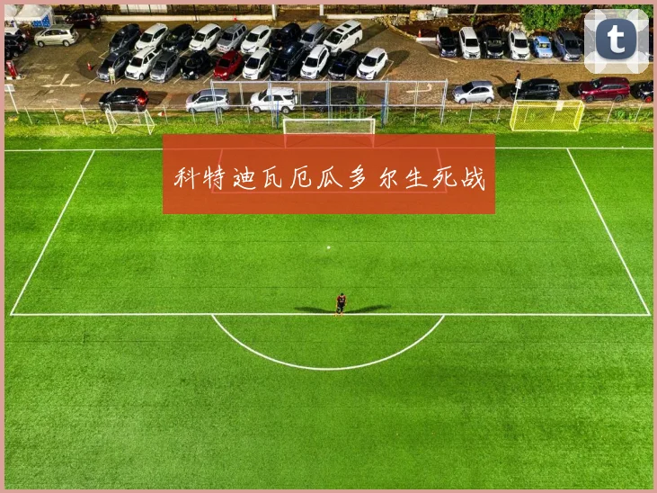 科特迪瓦厄瓜多尔生死战