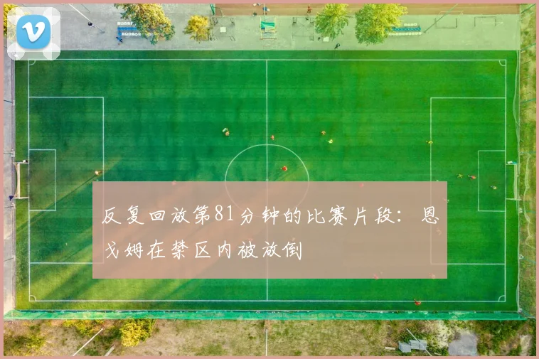 反复回放第81分钟的比赛片段：恩戈姆在禁区内被放倒