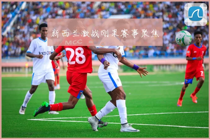 新西兰激战刚果赛事聚焦