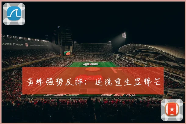 黄蜂强势反弹：逆境重生显锋芒