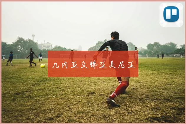 几内亚交锋亚美尼亚