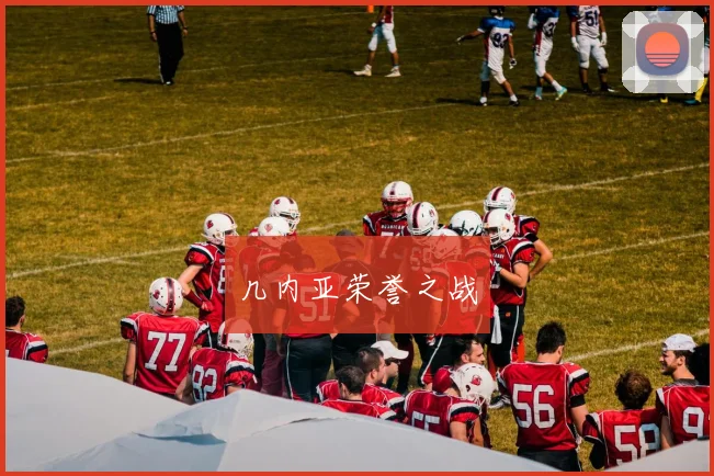 几内亚荣誉之战