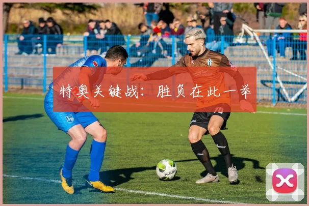 特奥关键战：胜负在此一举