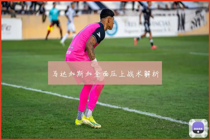 马达加斯加全面压上战术解析