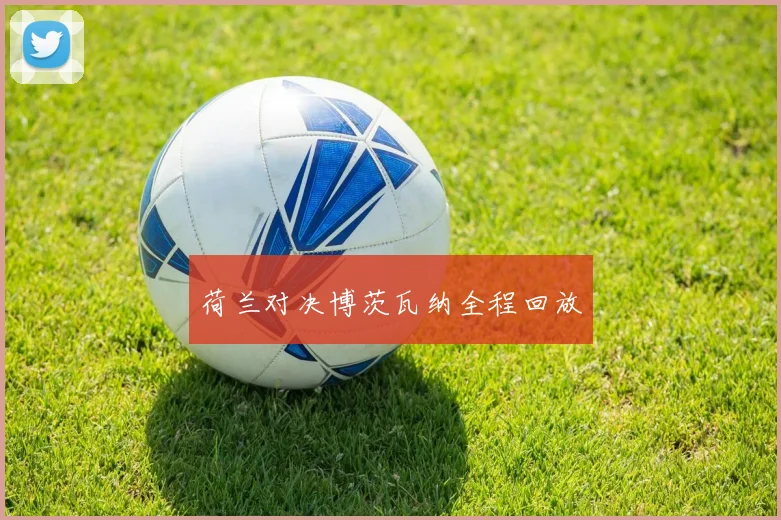 荷兰对决博茨瓦纳全程回放