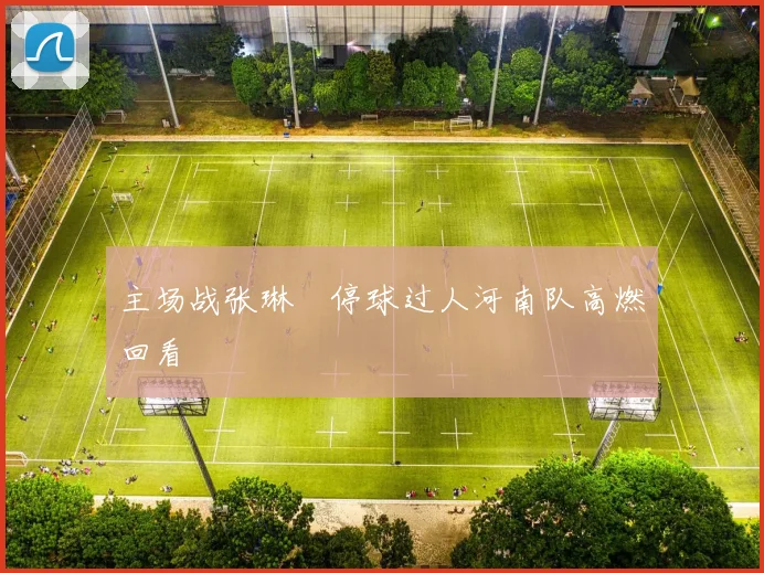 主场战张琳芃停球过人河南队高燃回看