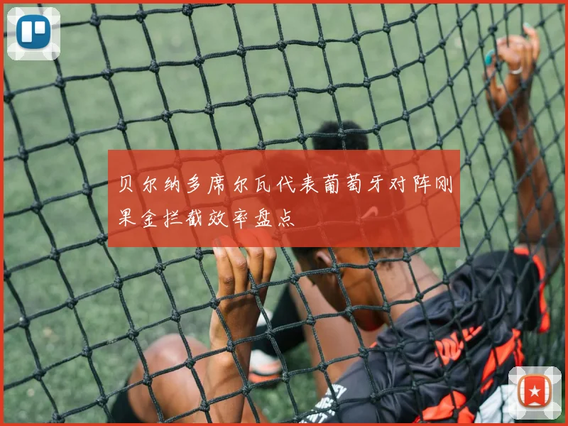 贝尔纳多席尔瓦代表葡萄牙对阵刚果金拦截效率盘点